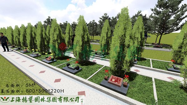 米乐|米乐·M6(中国大陆)官方网站