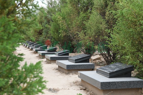 米乐|米乐·M6(中国大陆)官方网站