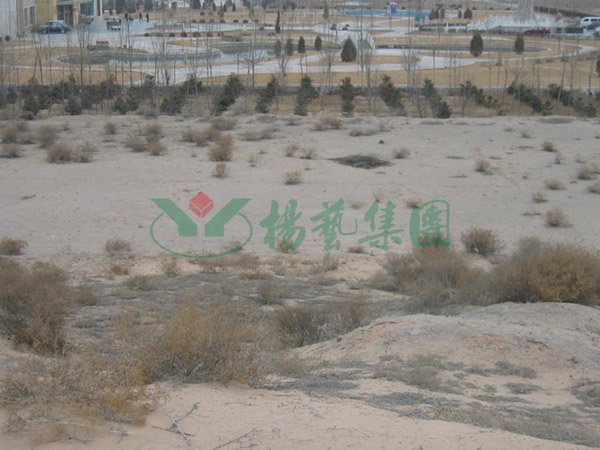 米乐|米乐·M6(中国大陆)官方网站