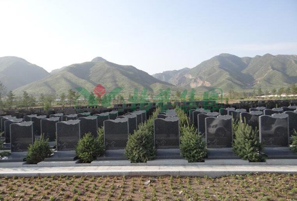 米乐|米乐·M6(中国大陆)官方网站