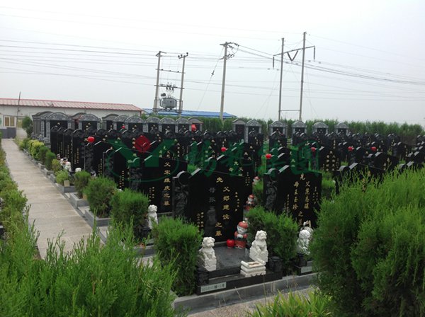 米乐|米乐·M6(中国大陆)官方网站