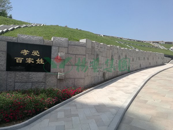 米乐|米乐·M6(中国大陆)官方网站