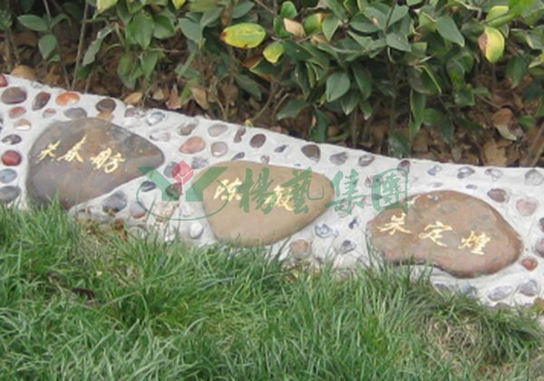 米乐|米乐·M6(中国大陆)官方网站