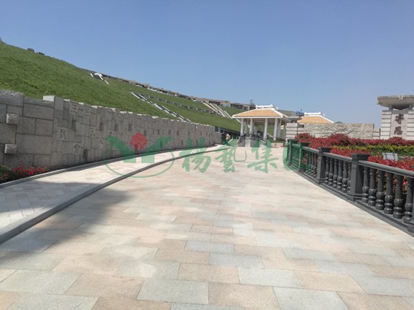 米乐|米乐·M6(中国大陆)官方网站