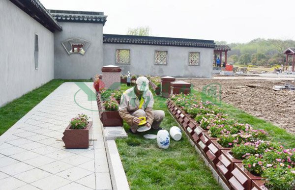 米乐|米乐·M6(中国大陆)官方网站