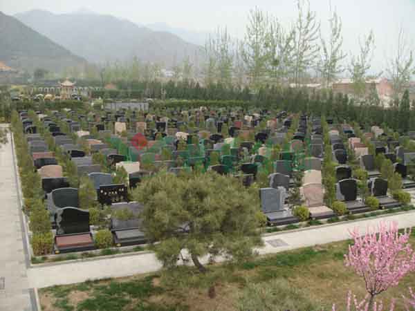 米乐|米乐·M6(中国大陆)官方网站