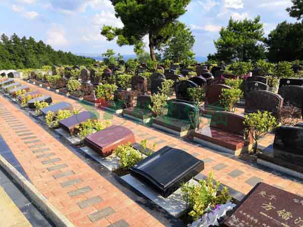 米乐|米乐·M6(中国大陆)官方网站