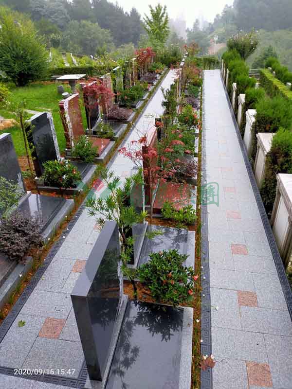 米乐|米乐·M6(中国大陆)官方网站