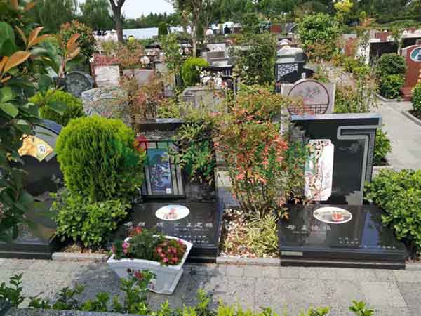 米乐|米乐·M6(中国大陆)官方网站