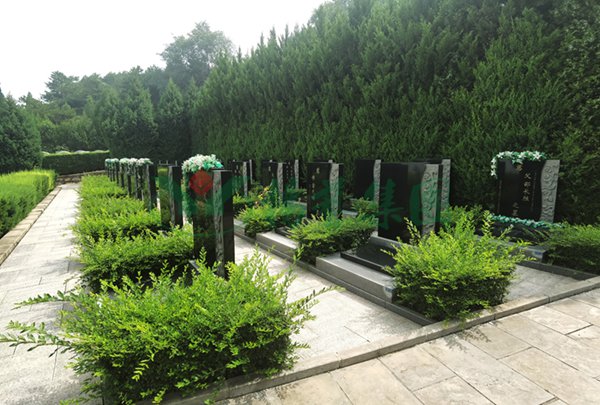 米乐|米乐·M6(中国大陆)官方网站