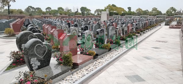 米乐|米乐·M6(中国大陆)官方网站