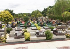 上；；；；懔靶腔鹎