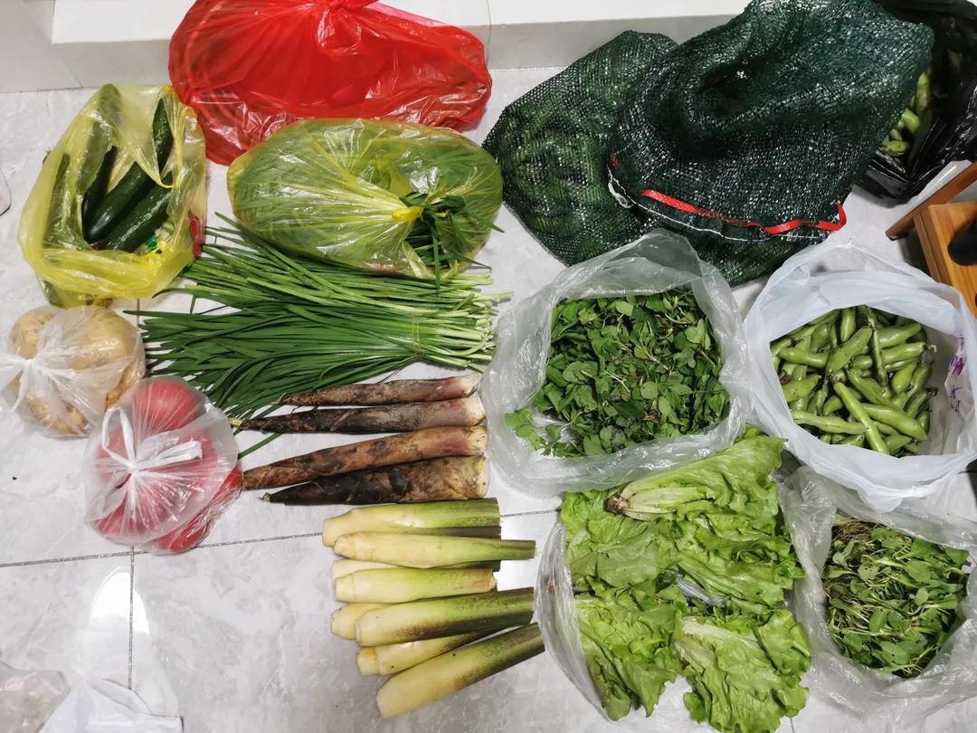 米乐|米乐·M6(中国大陆)官方网站