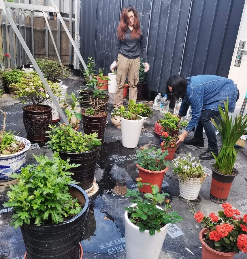 米乐|米乐·M6(中国大陆)官方网站