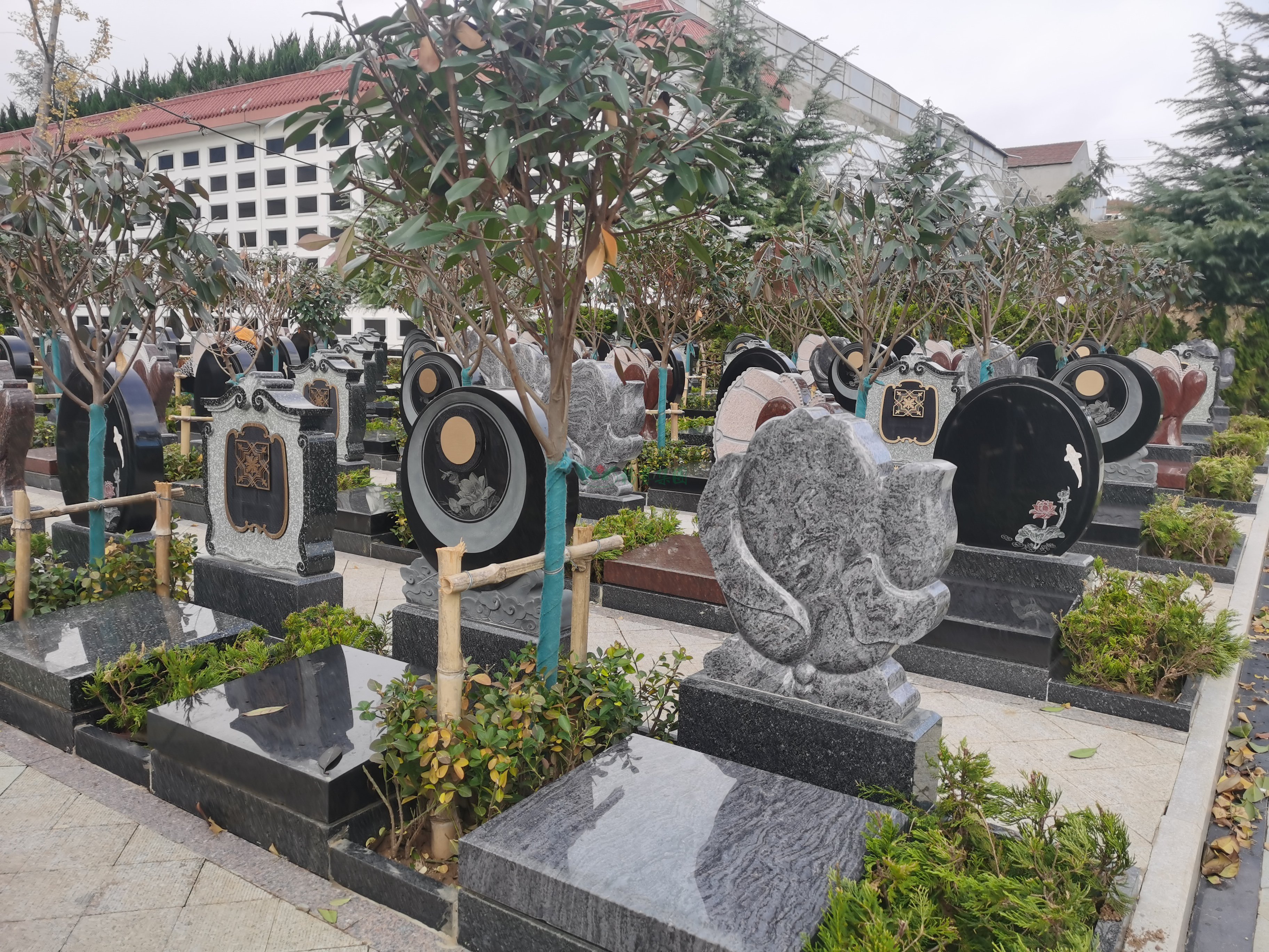 米乐|米乐·M6(中国大陆)官方网站