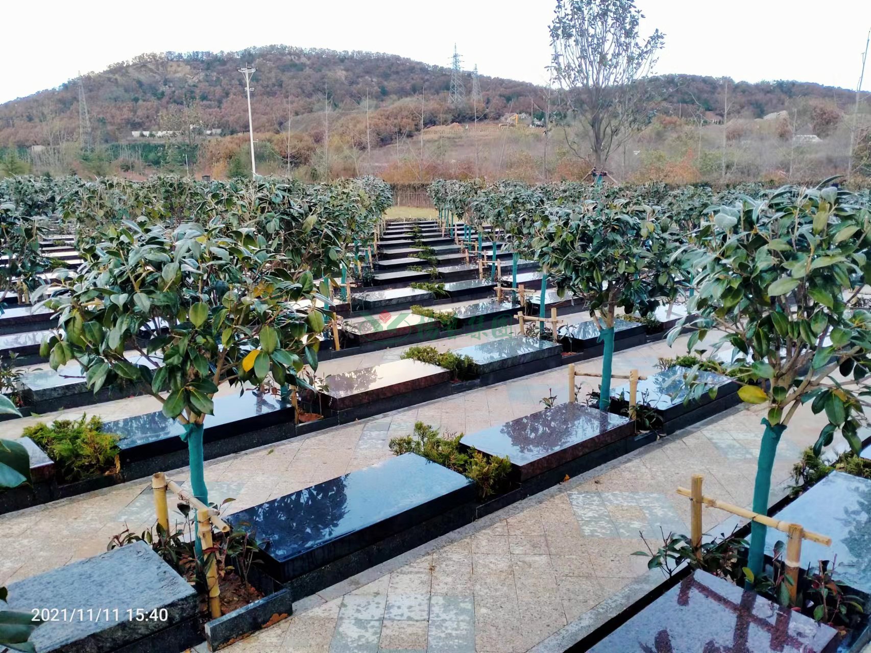 米乐|米乐·M6(中国大陆)官方网站