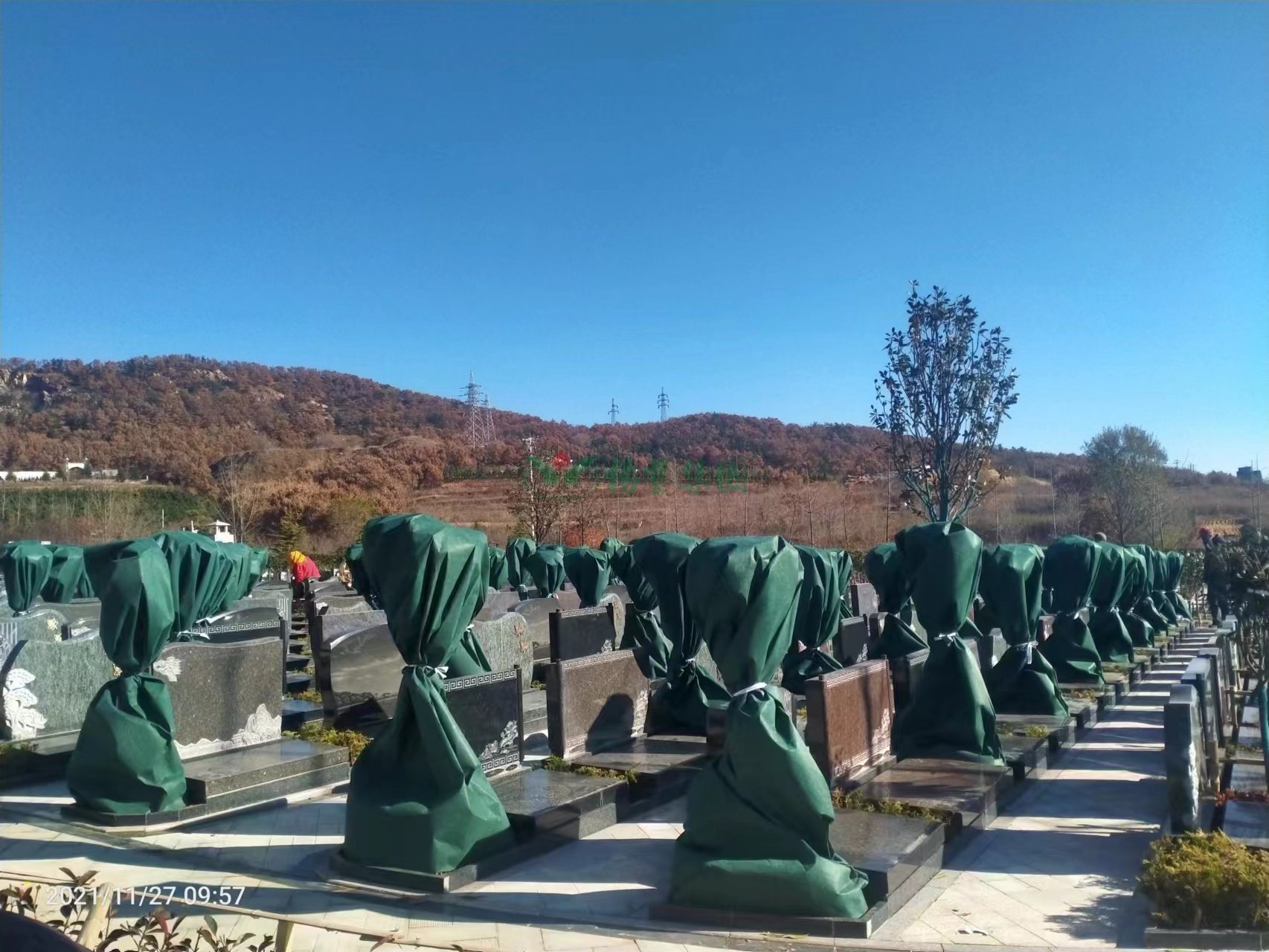 米乐|米乐·M6(中国大陆)官方网站