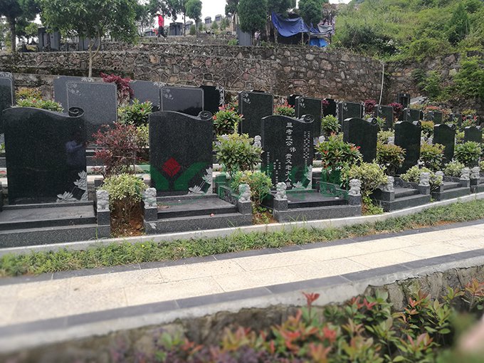 米乐|米乐·M6(中国大陆)官方网站