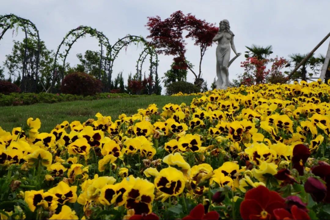 米乐|米乐·M6(中国大陆)官方网站