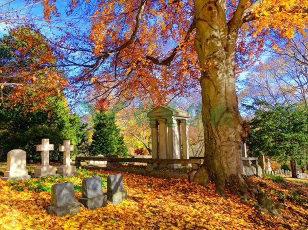 米乐|米乐·M6(中国大陆)官方网站