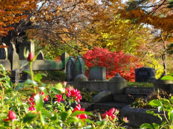 米乐|米乐·M6(中国大陆)官方网站