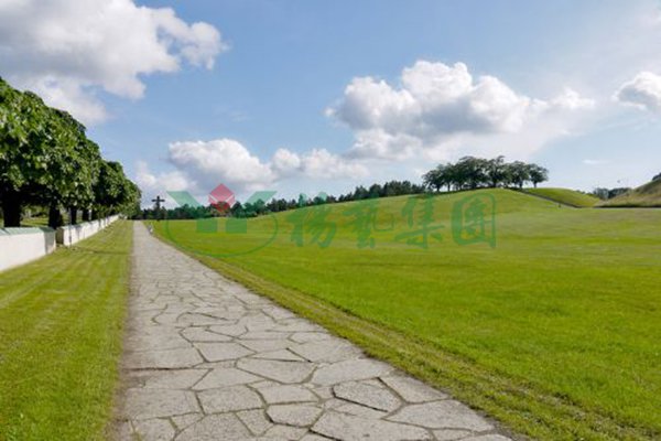 米乐|米乐·M6(中国大陆)官方网站