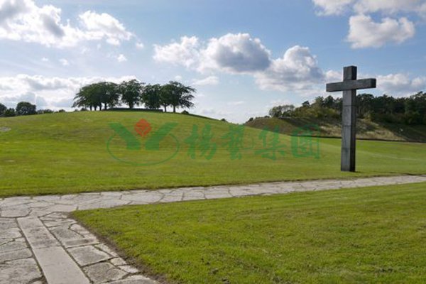 米乐|米乐·M6(中国大陆)官方网站