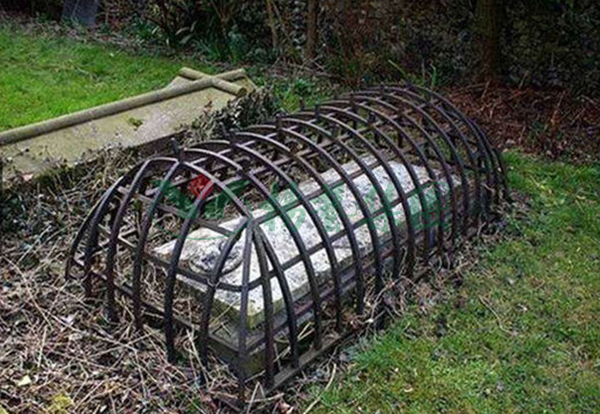 米乐|米乐·M6(中国大陆)官方网站