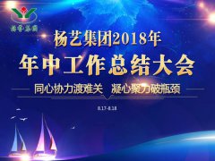 米乐m6集团2018年中总结报告（摘要）