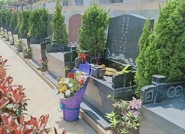 米乐|米乐·M6(中国大陆)官方网站