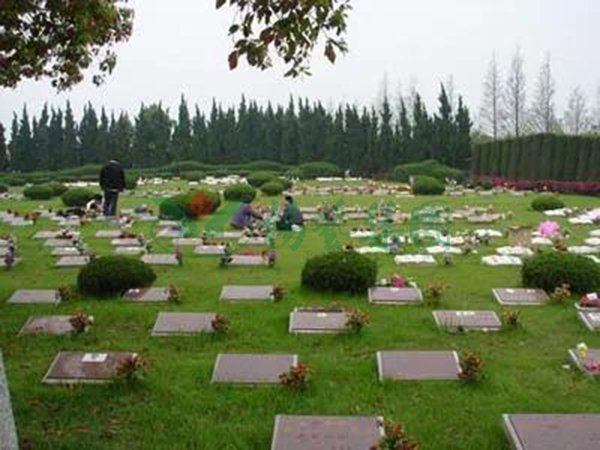 米乐|米乐·M6(中国大陆)官方网站