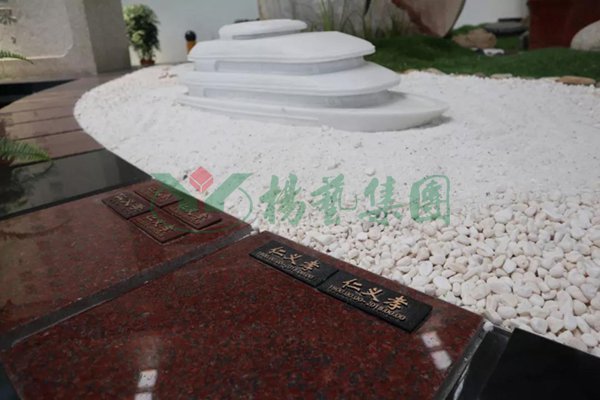 米乐|米乐·M6(中国大陆)官方网站