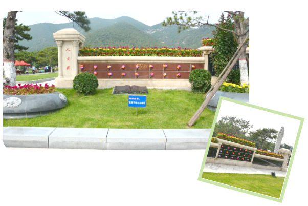 米乐|米乐·M6(中国大陆)官方网站