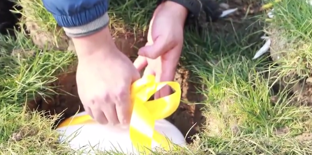 米乐|米乐·M6(中国大陆)官方网站