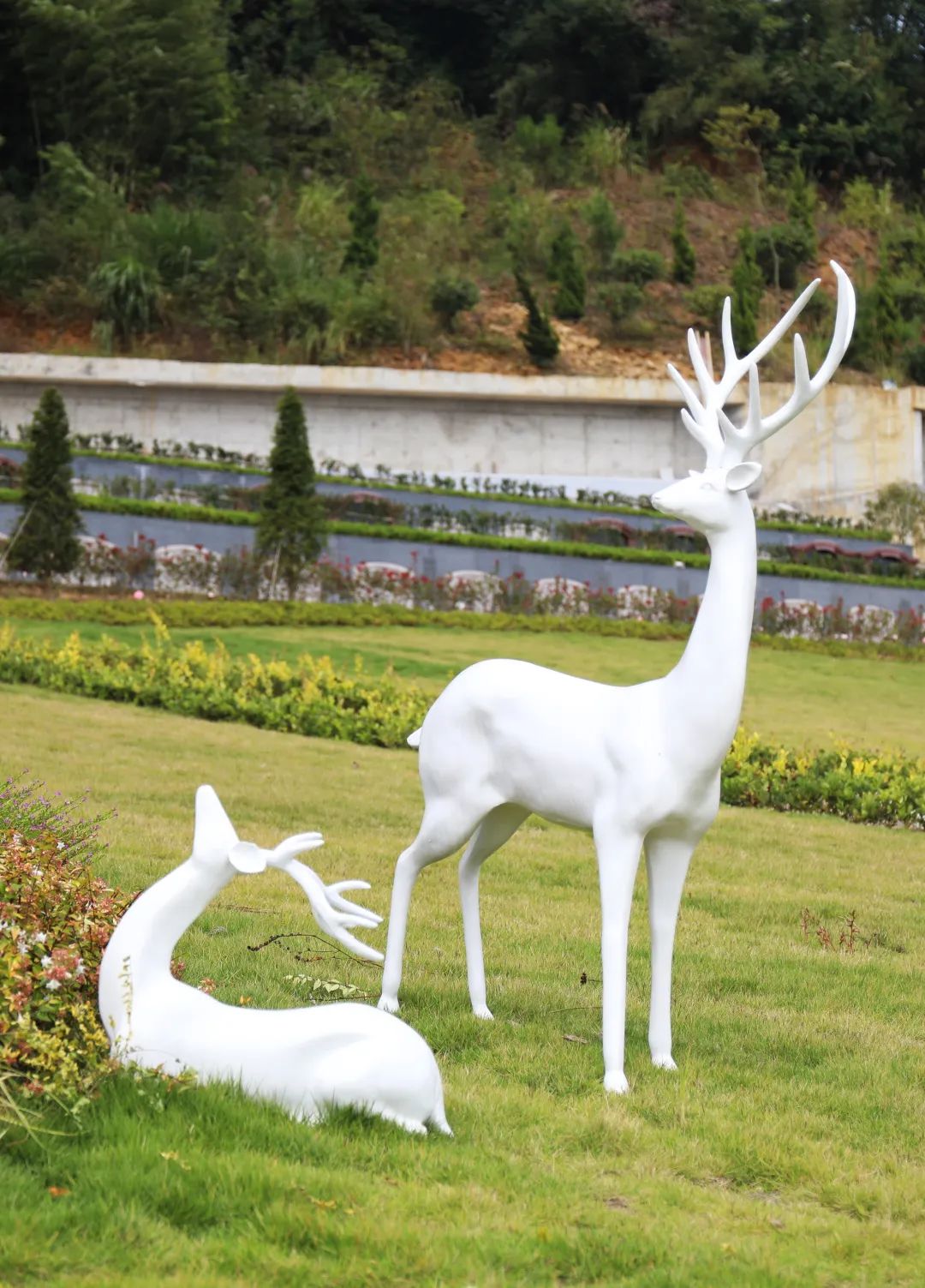 米乐|米乐·M6(中国大陆)官方网站