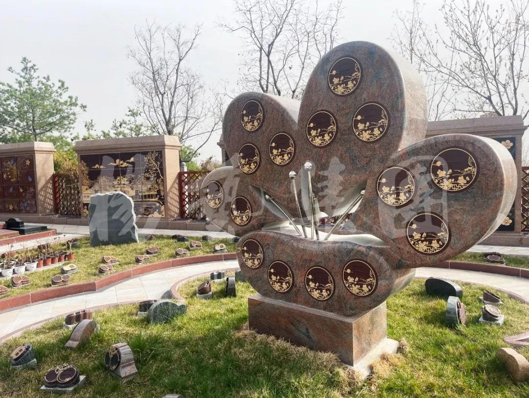 米乐|米乐·M6(中国大陆)官方网站