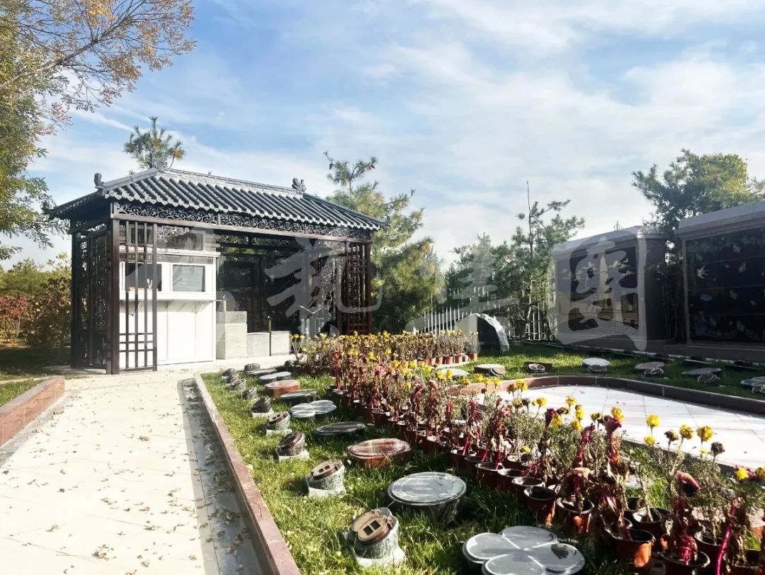 米乐|米乐·M6(中国大陆)官方网站