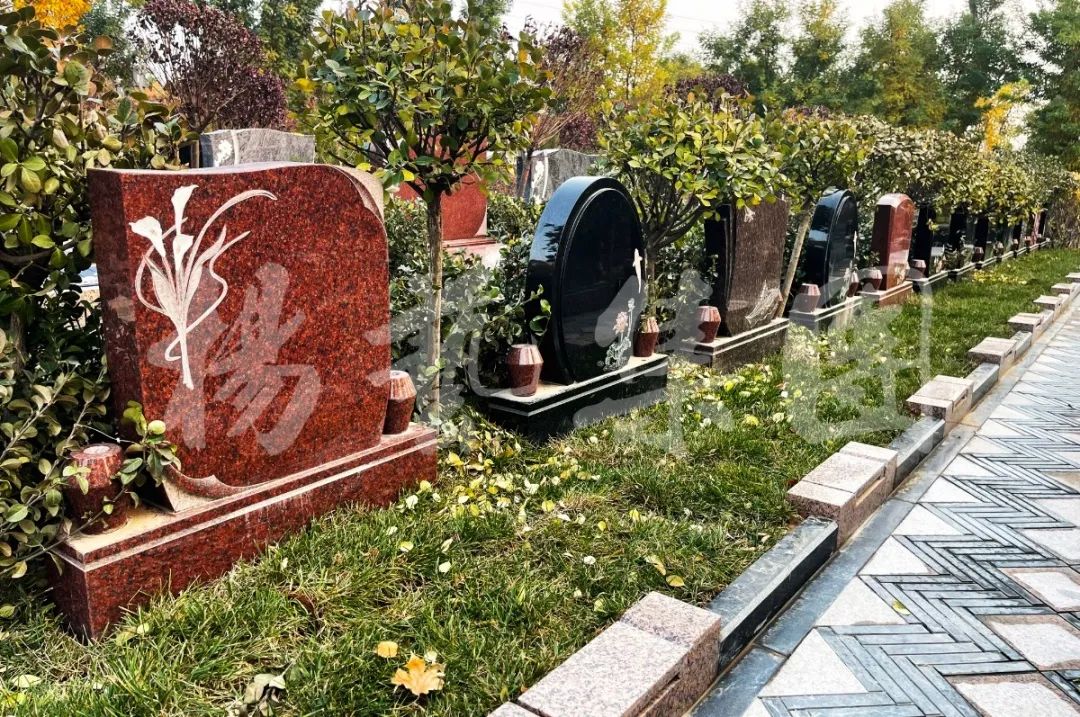 米乐|米乐·M6(中国大陆)官方网站