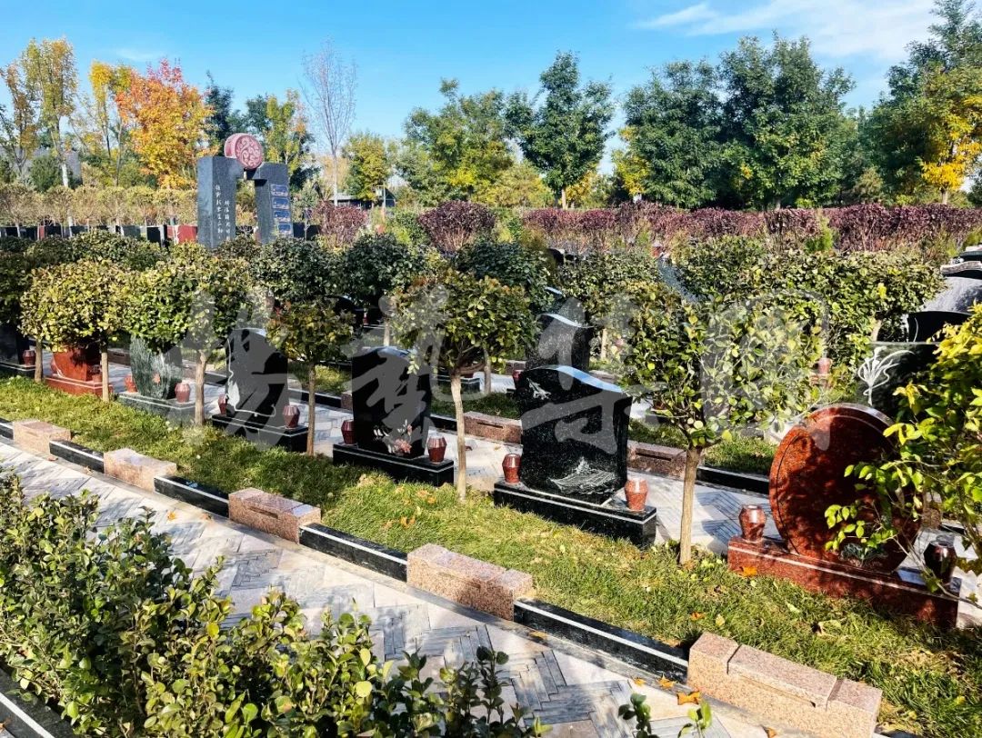 米乐|米乐·M6(中国大陆)官方网站