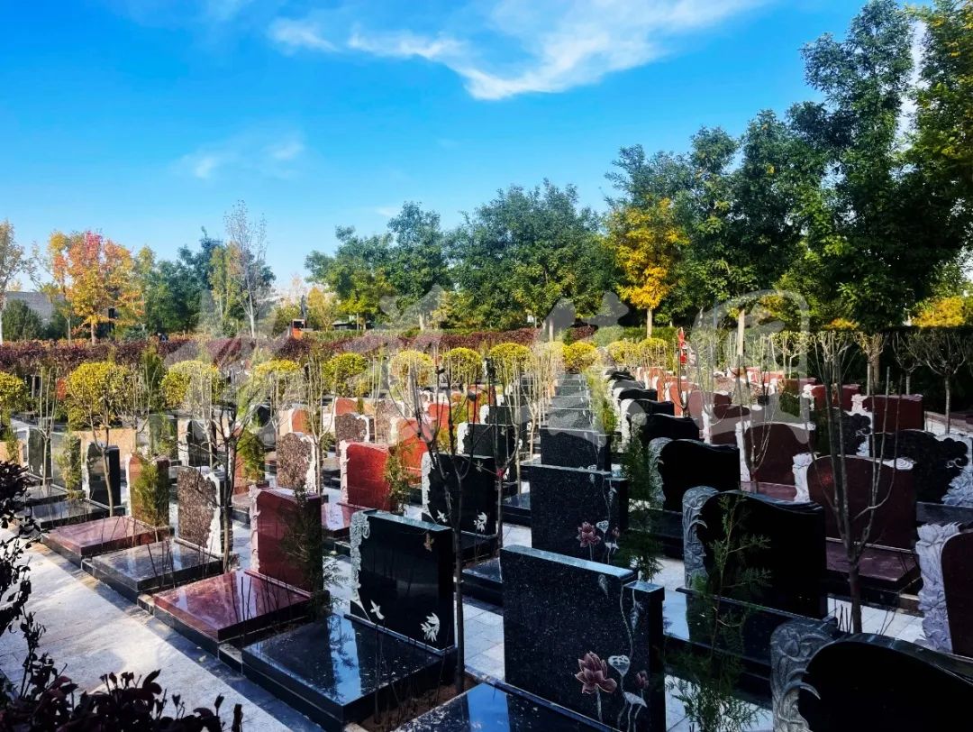 米乐|米乐·M6(中国大陆)官方网站