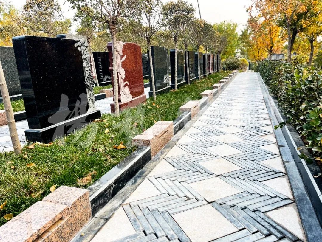 米乐|米乐·M6(中国大陆)官方网站