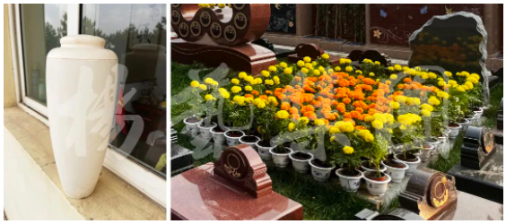 米乐|米乐·M6(中国大陆)官方网站