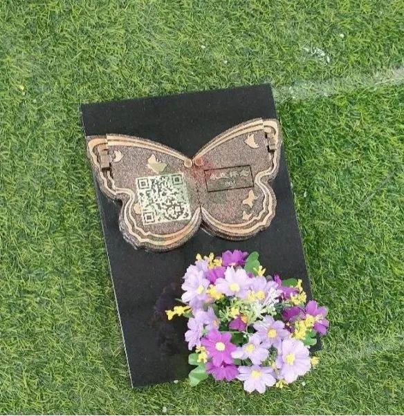 米乐|米乐·M6(中国大陆)官方网站