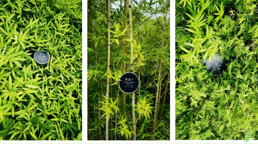 米乐|米乐·M6(中国大陆)官方网站