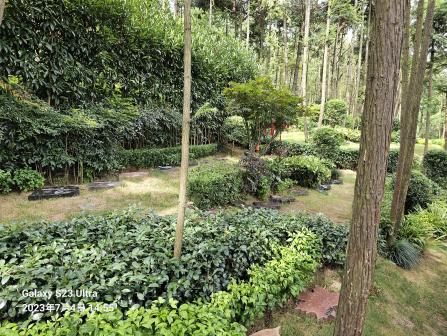 米乐|米乐·M6(中国大陆)官方网站