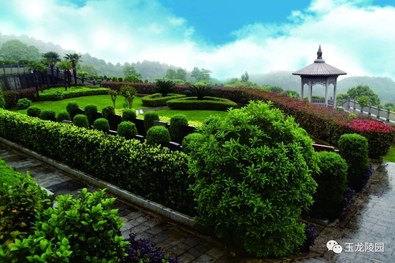 米乐|米乐·M6(中国大陆)官方网站