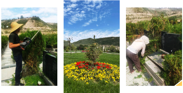 米乐|米乐·M6(中国大陆)官方网站