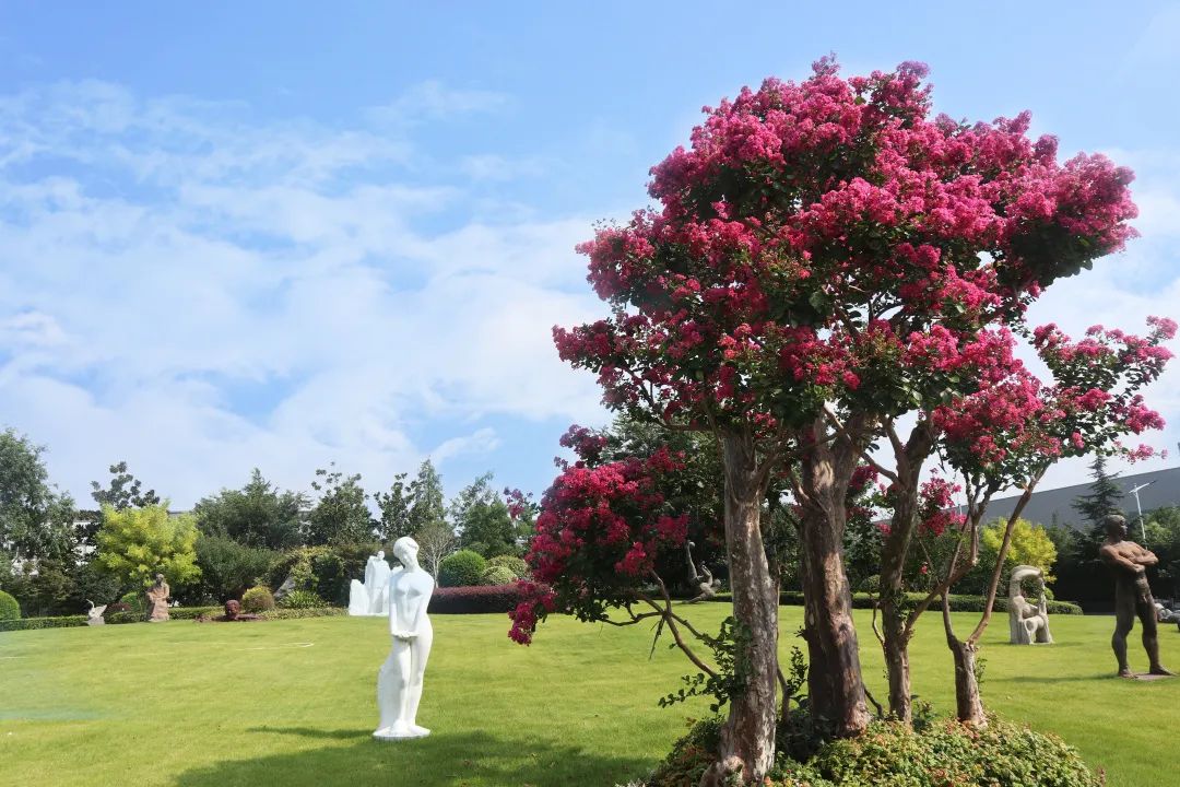 米乐|米乐·M6(中国大陆)官方网站