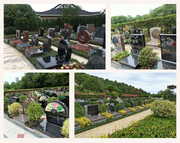 米乐|米乐·M6(中国大陆)官方网站