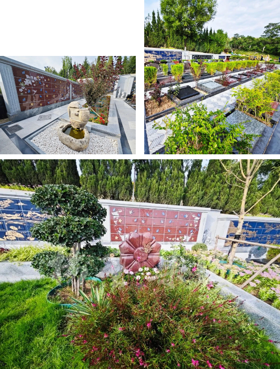 米乐|米乐·M6(中国大陆)官方网站